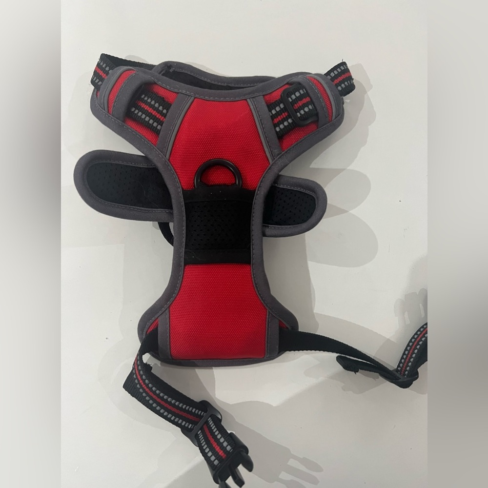 Harness for small dog